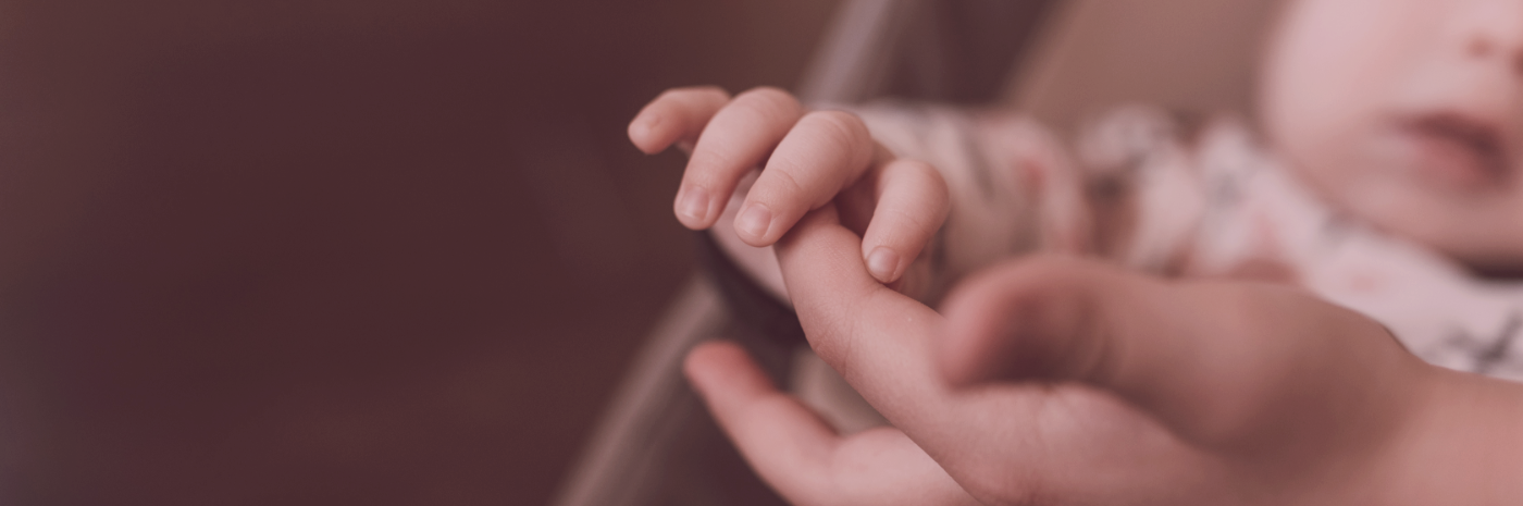 swissfetus stories banner
