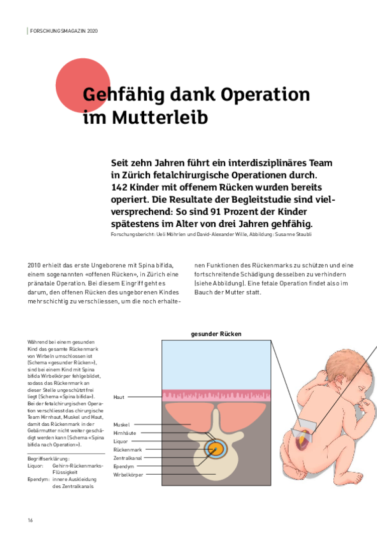 forschungsmagazin 2020 den besten start ins leben dank forschung 1